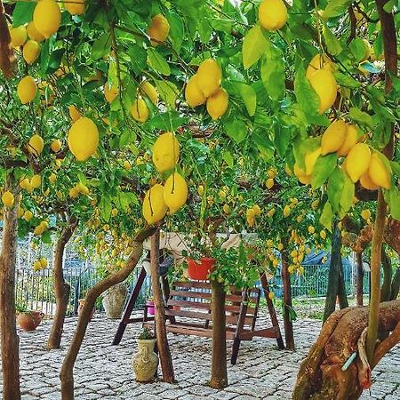 Il Limoneto Degli Angeli Βίλα Minori Εξωτερικό φωτογραφία