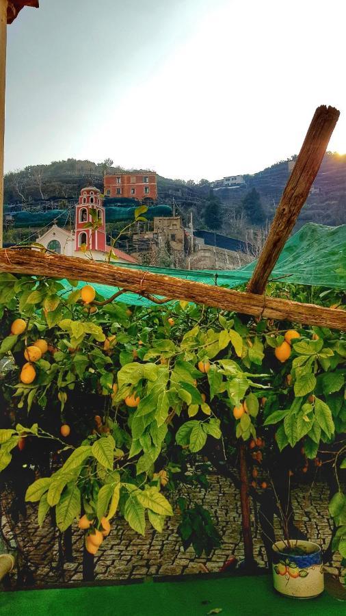 Il Limoneto Degli Angeli Βίλα Minori Εξωτερικό φωτογραφία