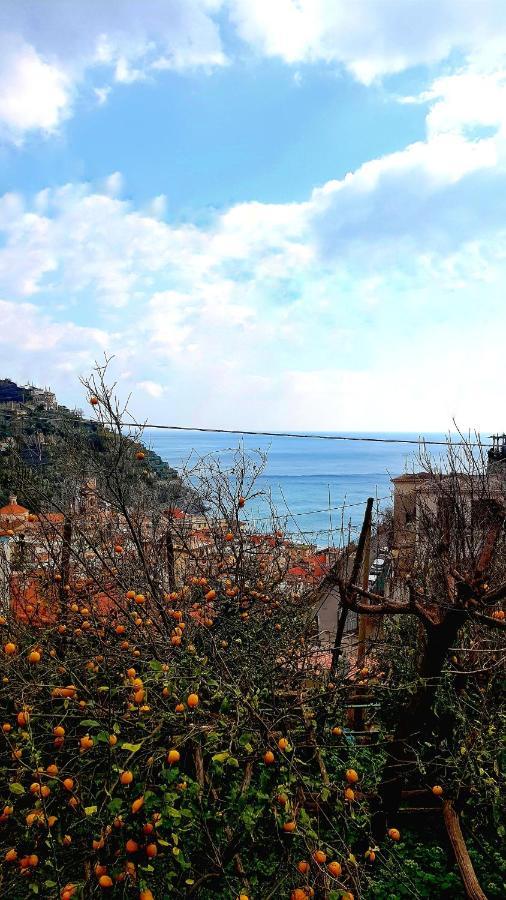 Il Limoneto Degli Angeli Βίλα Minori Εξωτερικό φωτογραφία