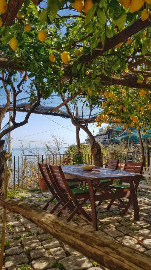 Il Limoneto Degli Angeli Βίλα Minori Εξωτερικό φωτογραφία