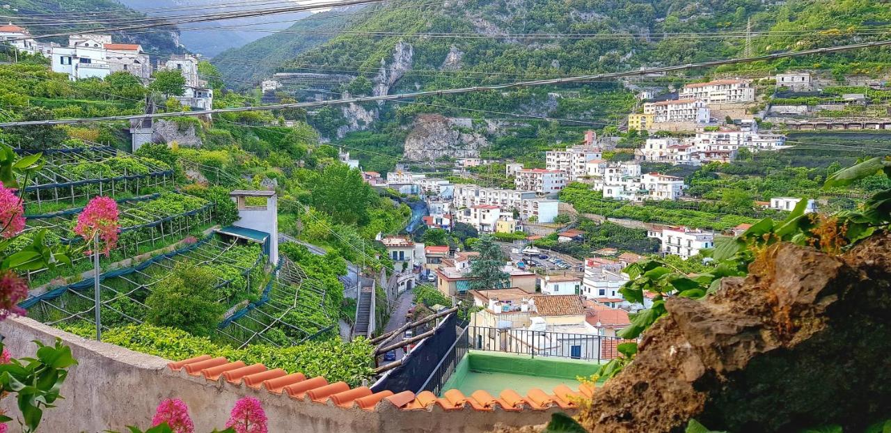 Il Limoneto Degli Angeli Βίλα Minori Εξωτερικό φωτογραφία