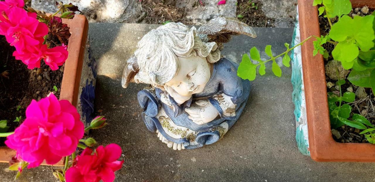 Il Limoneto Degli Angeli Βίλα Minori Εξωτερικό φωτογραφία